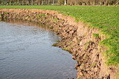 Erosion of the bank of the River Towy, Wales