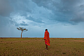 Masai man walking in the savanna as a rainstorm approaches