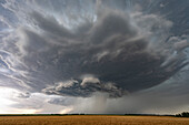 Supercell thunderstorm at sunset, Kansas, USA