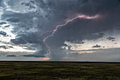 Lightning from the anvil of a storm, Kansas, USA