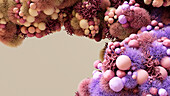 Antibody, conceptual illustration