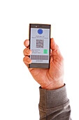 Man holding a phone with green Covid-19 digital certificate