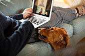 Man with dog video conferencing with colleagues