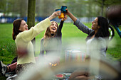 Happy young female friends toasting glasses at park picnic