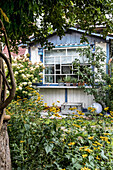 View of a wooden house with a picture window from the garden