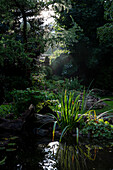 Teich im üppig bewachsenen Garten