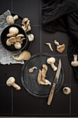 Mixed mushrooms on a black background