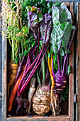 Fresh garden vegetables in a box