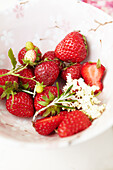 Fresh strawberries with elderflower blossoms in a bowl