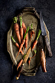 Fresh carrots from the garden