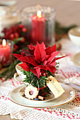 Place setting decorated with red poinsettia
