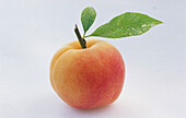 Eine Aprikose mit Blatt