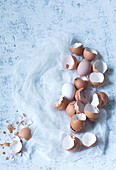 Fresh eggs and egg shells