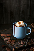 Hot chocolate with a giant marshmallow and cinnamon
