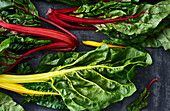 Red and yellow chard