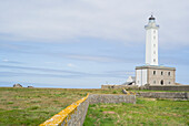 Leuchtturm, Phare de L'Ile vierge, Ile Vierge, Plouguerneau, Finistere, Bretagne, Frankreich