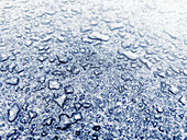 Ice crystals and water drops