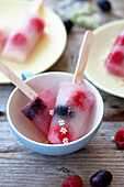 Icepops mit Holunderblüten und Früchten