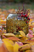 Hagebuttenzweig und Lichterkette im Glasgefäß, umgeben von Herbstlaub