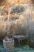 Vintage chair, next to it basket with leaves in the late autumn garden