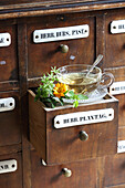 Riedergarten tea made from marigold blossoms