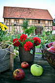 Dahlienstrauß und Äpfel auf Gartentisch, im Hintergrund alte Scheune