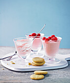 Rasberry mousse with mint biscuits