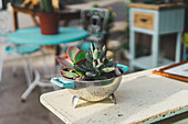 Colander used as flower pot