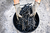 Hands holding self made charcoal outdoors