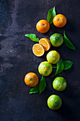 Organic tangerines and lemons on dark background