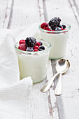 Two glasses of Greek yogurt with frozen berries