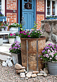 Planted containers with summer flowers in front of the terrace