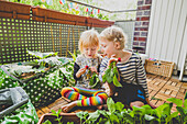 Blond siblings harvesting homegrown radish in balcony