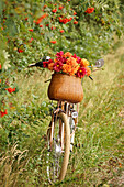 Fahrrad mit Dahlien im Korb