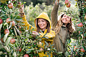 Zwei lächelnde Frauen, die im Regen Äpfel vom Baum ernten