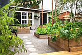 Vegetable garden in wooden raised beds with small wooden house in background