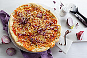 Homemade pizza with red onion