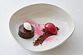 Chocolate dessert with rasberry sorbet