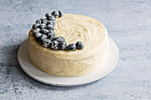 Blueberry and lemon cake with vanilla frosting