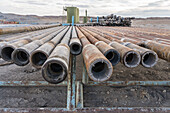 Drill pipes on a pipe rack