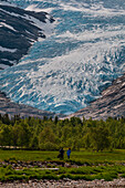 Verdant valley near the terminus of Svartisen glacier