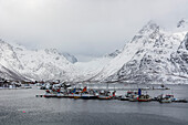 Harbor in Austnes Fjord and snow-covered mountains, Norway