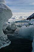 Ice floes in Hornsund bay, Svalbard, Norway