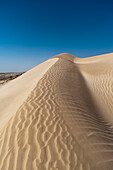 White sand dunes of the Khaluf desert, Oman