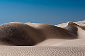 Rippled white sand dunes of the Khaluf Desert, Oman