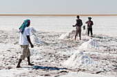 Men harvesting salt in the salt flats