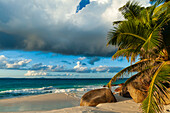 Palm trees and large boulders on a tropical beach