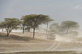 Safari vehicle driving on a dusty road