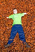 Young boy in a pile of beech leaves.