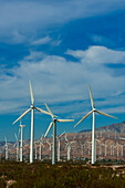 Rows of windmills, Palm Springs, California
